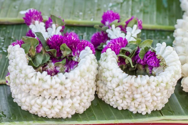 Der Haufen Jasmin und Globus-Amaranth-Blume — Stockfoto