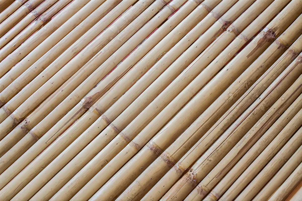 La camada de bambú — Foto de Stock