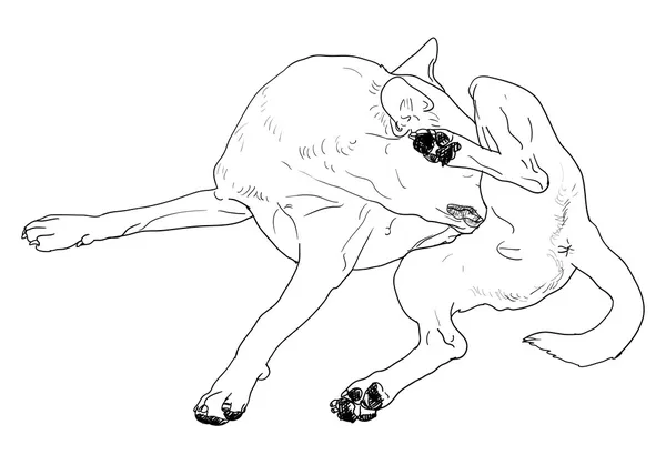 Prurito cane — Vettoriale Stock