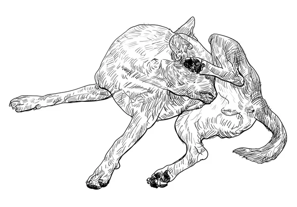 Démangeaisons chien — Image vectorielle