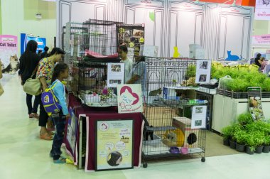 Tayland kedi göstermek 2013, 13.