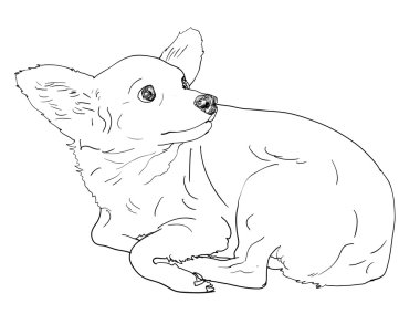 vektör meraklı Chihuahua