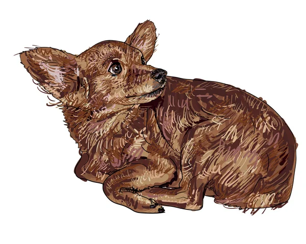 Vector nieuwsgierig Chihuahua — Stockvector