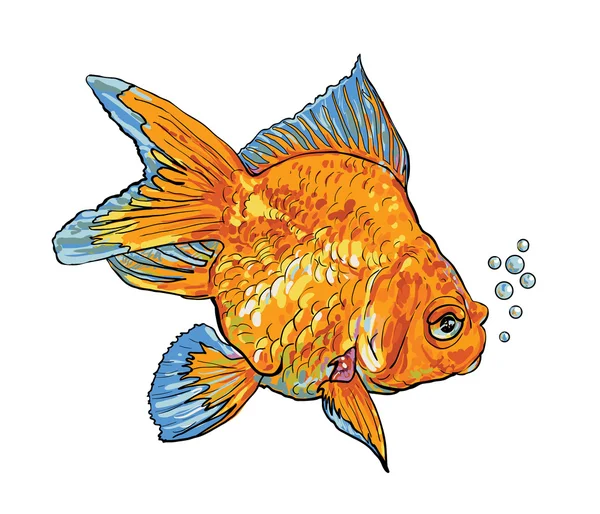 Peixe-vermelho — Vetor de Stock