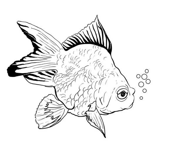 Peixe-vermelho — Vetor de Stock