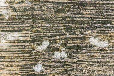 Çimento sokak dokusu