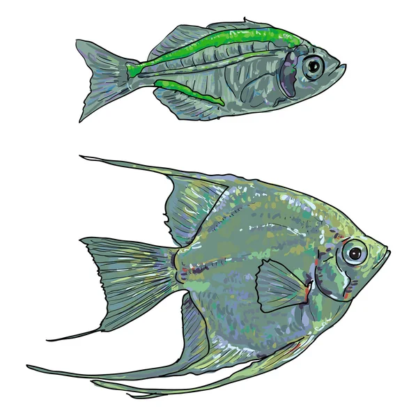 Zwei Fische — Stockvektor