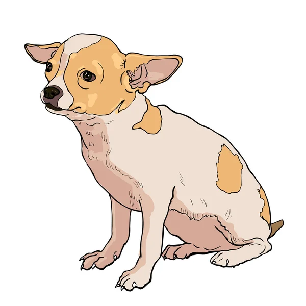 Chihuahua a — Image vectorielle