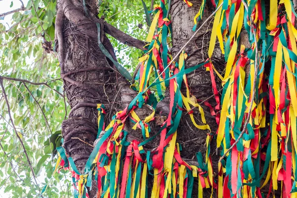 Peaces colorées de vêtements être liés ensemble sur l'arbre — Photo