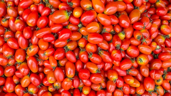 Der Haufen kleiner Tomaten — Stockfoto