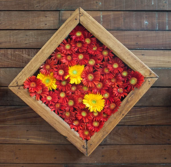 Flores de crisantemo en el marco de madera — Foto de Stock