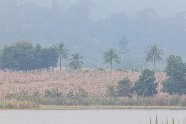 Landschap van bossen en moutain langs het reservoir, thailand — Stockfoto