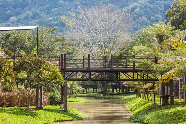 Blick auf die Brücke über einen Kanal mit Wald und Gebirgsbehi — Stockfoto