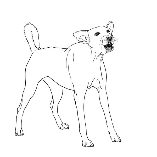 Štěkání psa — Stockový vektor