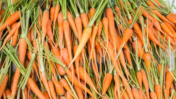 Купа моркви — стокове фото