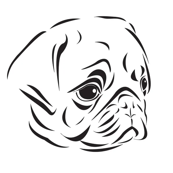 Cabeza de Pug — Vector de stock