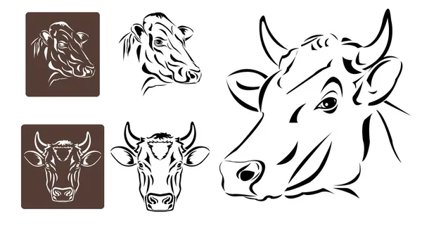 Línea de arte de la cabeza de vaca — Vector de stock