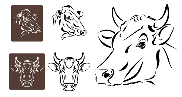 Teckningar av komjölk huvud — Stock vektor
