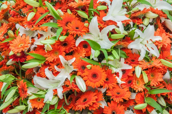 Crisantemo y flor de lirio — Foto de Stock