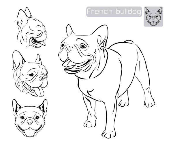 Art de ligne de bouledogue français — Image vectorielle