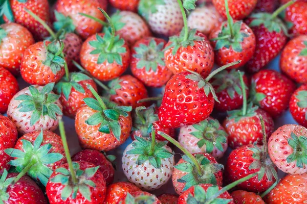 Fresh red ripe strawberries — Stock Photo, Image