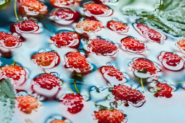 Fresh red ripe strawberries — Stock Photo, Image