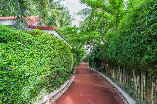 Caminho vermelho com árvore verde — Fotografia de Stock