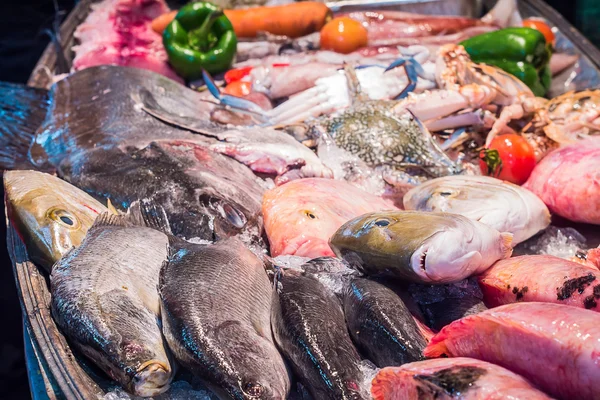 Frutos do mar no gelo no mercado de peixe — Fotografia de Stock