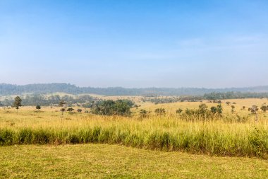 Landschaft, Gras-Land in thailand