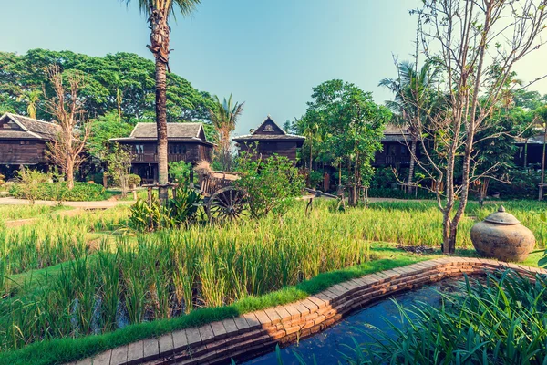 Green rice field in the villa, Thailand — стоковое фото