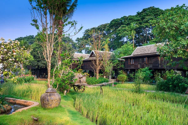 Zöld rizs mező a villában, Thaiföld — Stock Fotó