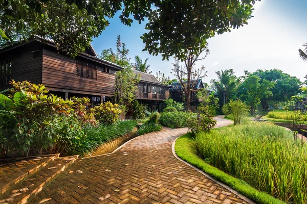 Campo de arroz verde na villa, Tailândia — Fotografia de Stock