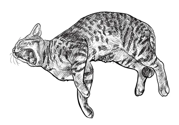 Gähnende Katze — Stockvektor