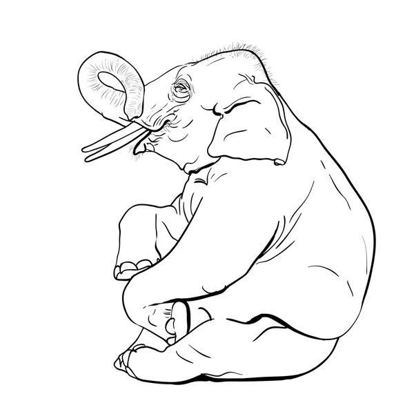 Elefante espectáculo, vector . — Vector de stock