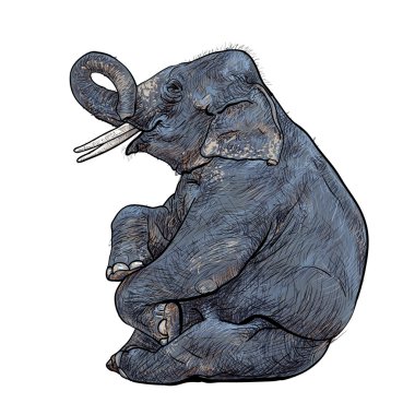 fil gösterisi, vektör.