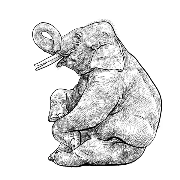 Exposition d'éléphants, vecteur . — Image vectorielle