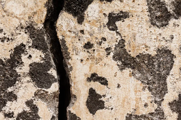 Текстурный цементный фон — стоковое фото