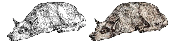 Sleepy perro solitario — Archivo Imágenes Vectoriales