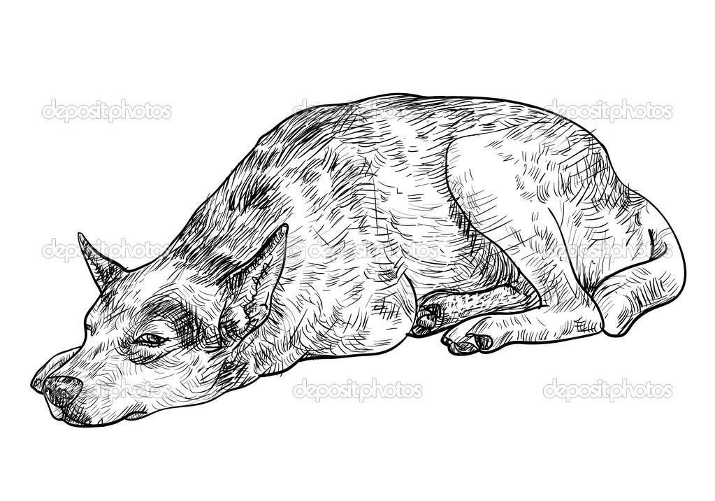 śpiący Pies Samotny Grafika Wektorowa Hadkhanong1979