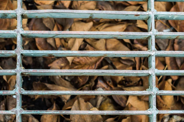 Stalen gaas op de stoep — Stockfoto