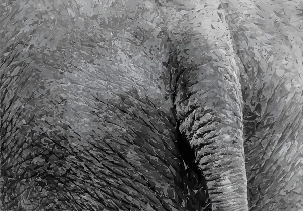 Bas de l'image de traçage des éléphants — Image vectorielle