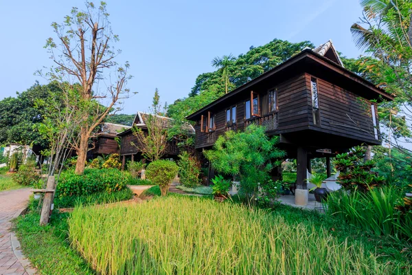 绿色稻田中的别墅里，泰国 — 图库照片