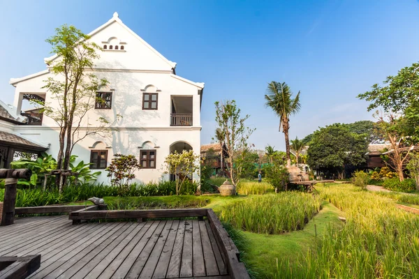 Campo de arroz verde na villa, Tailândia — Fotografia de Stock