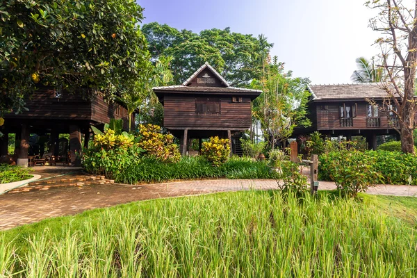 Green rice field in the villa, Thailand — стоковое фото