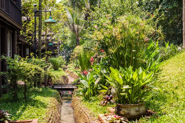 小さなチャネルと緑豊かな庭園 — ストック写真