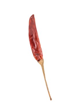 Beyaz arka plan üzerinde izole kurutulmuş kırmızı biber