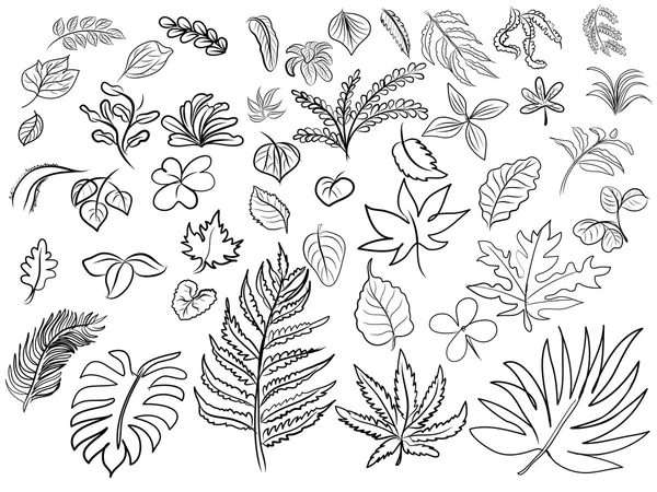 Векторный рисунок листьев — стоковый вектор