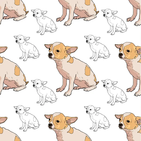 Naadloze patroon van schattig chihuahua — Stockvector