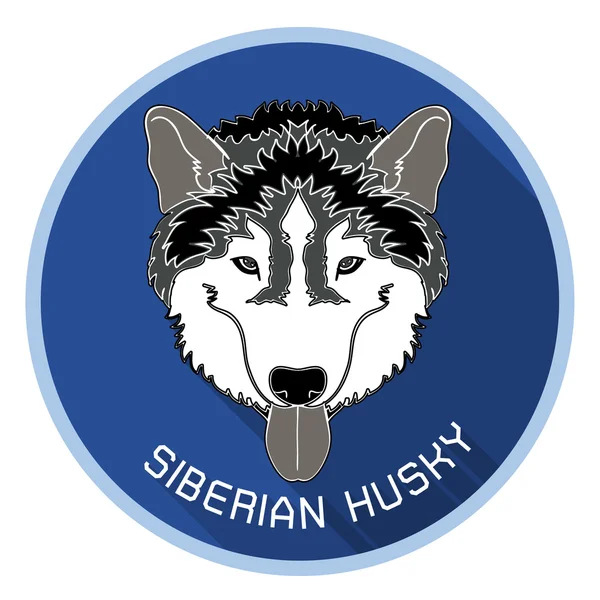 Cabeza de husky siberiano con sombra larga — Archivo Imágenes Vectoriales