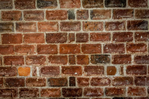 Brick wall — Stock Photo, Image